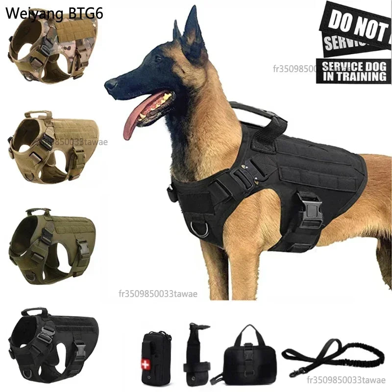 German Shepherd Golden Retriever Training Dog Belt