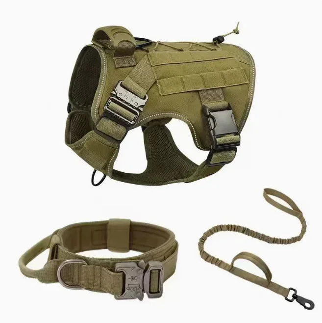 Cinto de treino para cães pastor alemão golden retriever