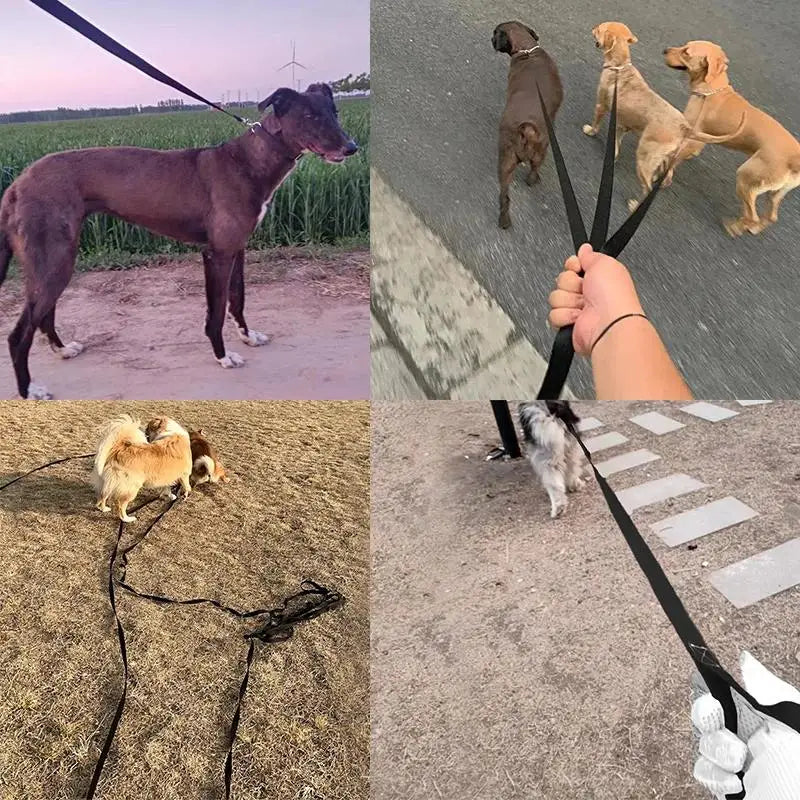 Long Nylon Pet Dog Leash For Small Big Dogs Cats Outdoor Hiking Puppy