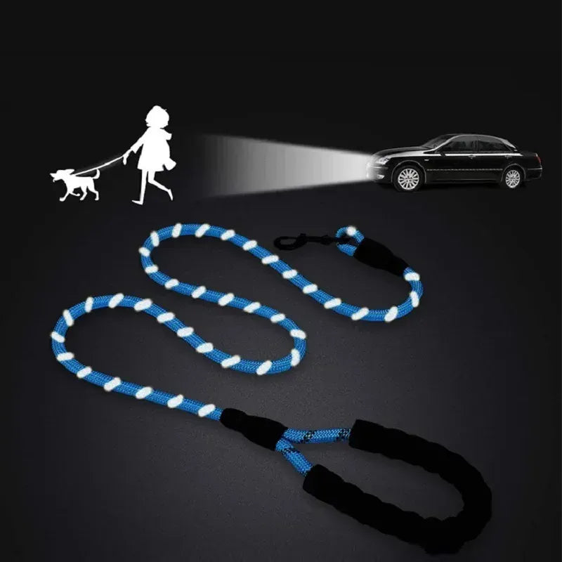 NUOYING Adjustable Dog Harness And Leash Nylon No Pull Design For Safe Soft Walks