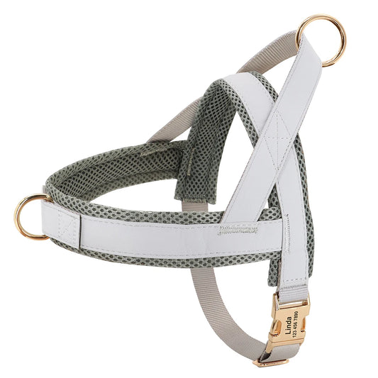 Personalized Dog Harness No Pull Dog Harnesses Adjustable Pet Walking Training