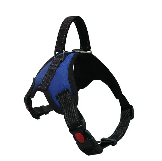 NUOYING Adjustable Dog Harness And Leash Nylon No Pull Design For Safe Soft Walks