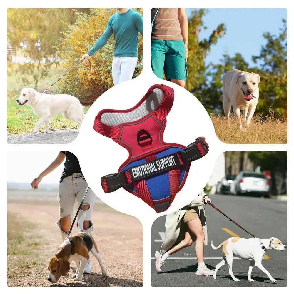 No Pull Dog Harness Medium Fiber Training Harness Adjustable featured in outdoor walks with dogs.