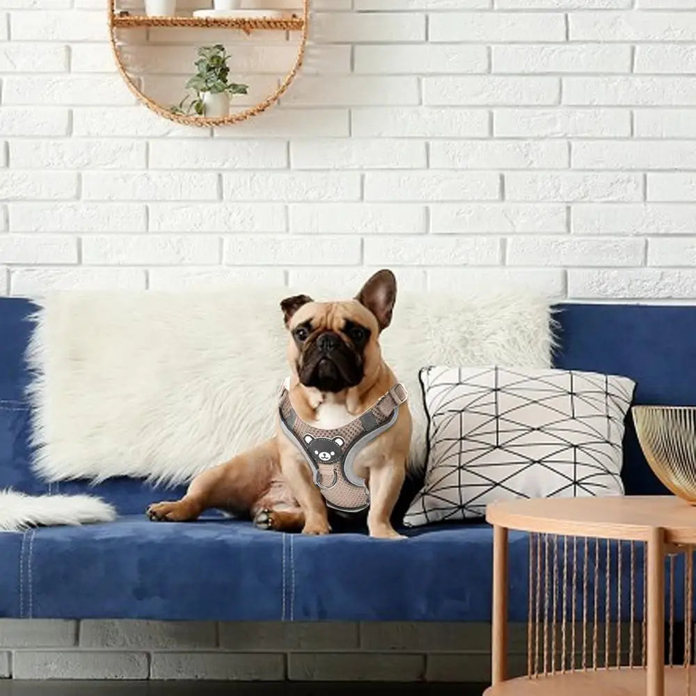 LED Dog Harness Illuminated Fiber Customizable Set for Nighttime Wal