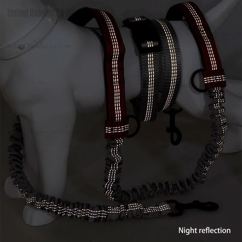 Coleira para cães, corrida, passeio, ambiente exterior, refletora, retrátil