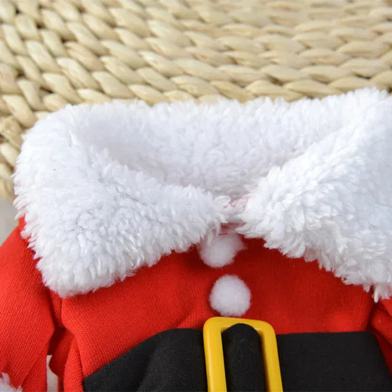 Cute Cat Clothes For Christmas