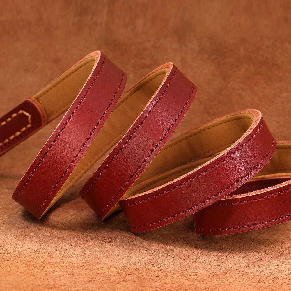 Coleira para cão personalizada em couro legítimo