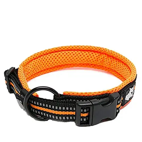 Reflective Dog Collar Adjustable Nylon Quick-Release Padded Person