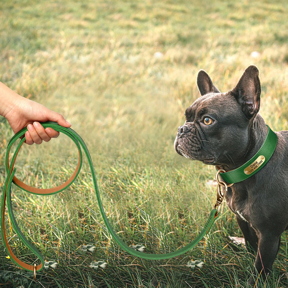 Coleira para cão personalizada em couro legítimo