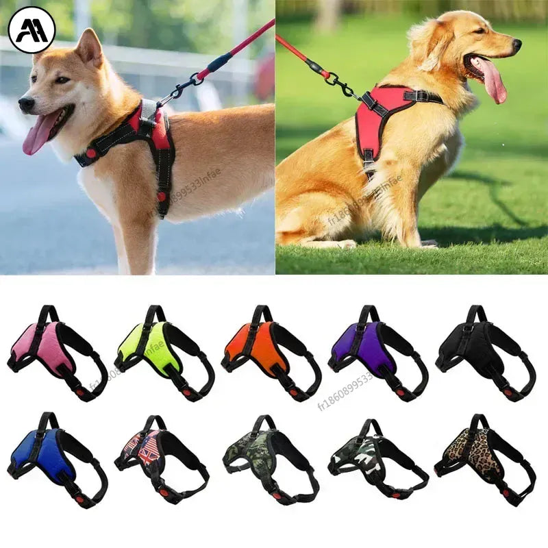 Dog harnesses in various colors displayed with two dogs wearing them outdoors.