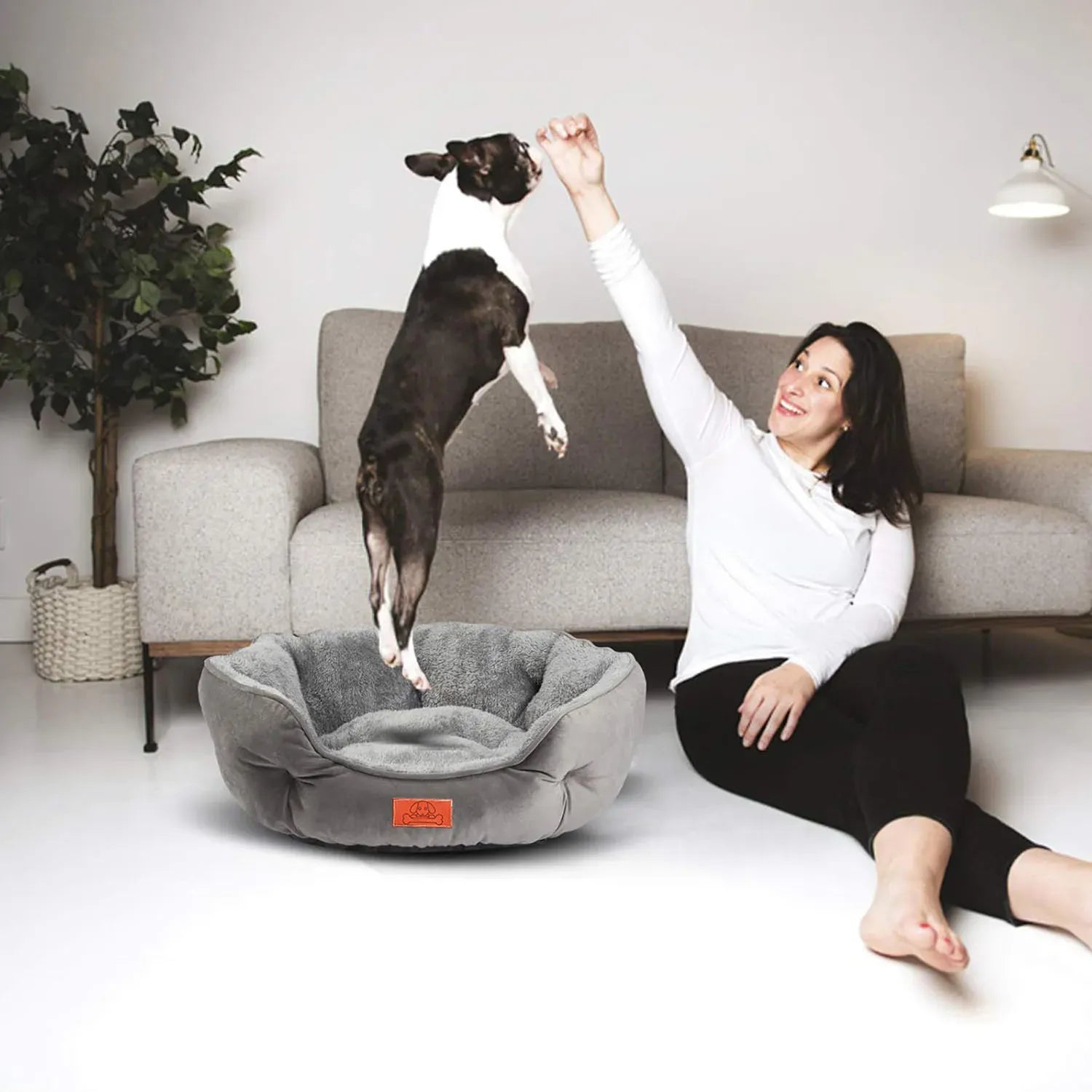 washable pet bed for small and large pets