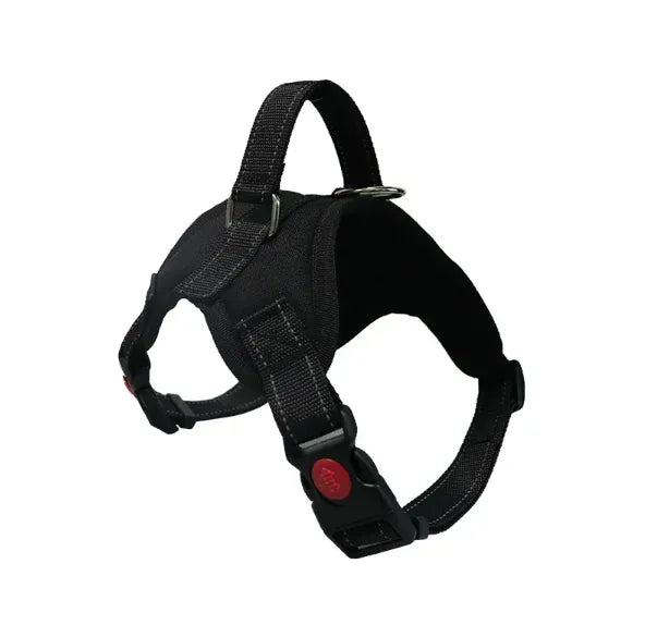 NUOYING Adjustable Dog Harness And Leash Nylon No Pull Design For Safe Soft Walks