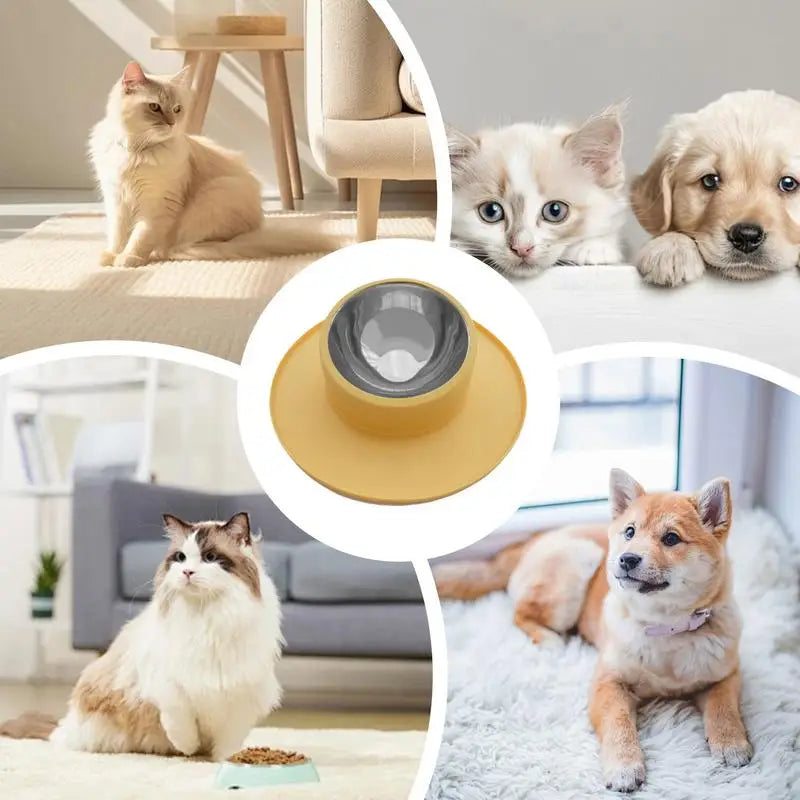Tigela para animais de estimação Tigela de água para gatos à prova de derrames em silicone e aço inoxidável