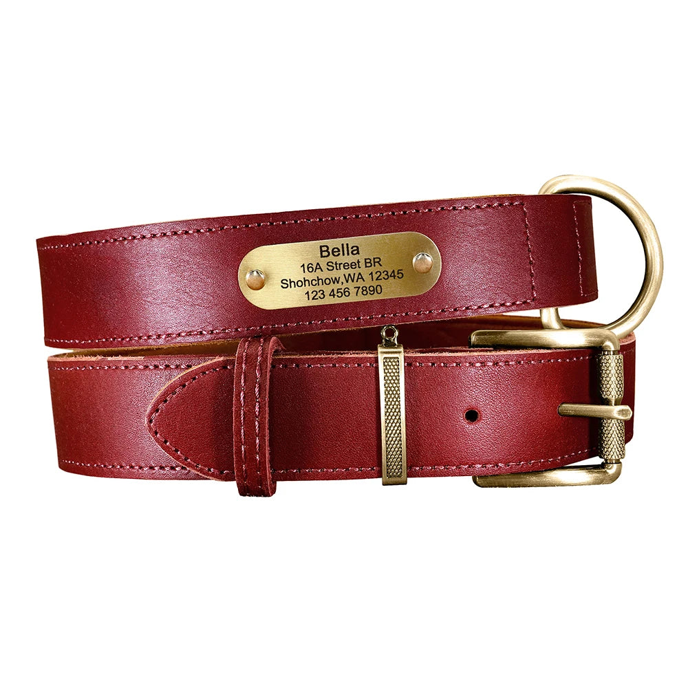 Coleira para cão personalizada em couro legítimo