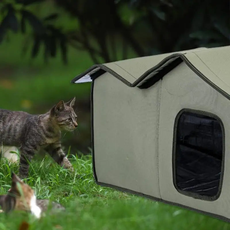 Casa grande para gatos de exterior com isolamento