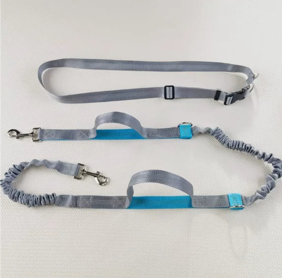 Coleira para cães, corrida, passeio, ambiente exterior, refletora, retrátil