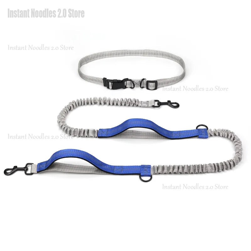 Coleira para cães, corrida, passeio, ambiente exterior, refletora, retrátil