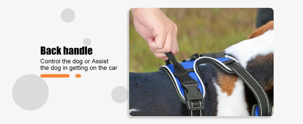 LED Dog Harness Nuoying Night Walking Harness with Durable Nylon &