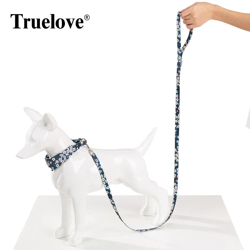 pet training leashes and walking harness