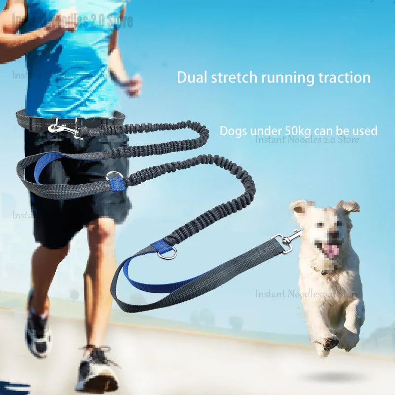 Dog Leash Outdoor Running Walking Reflective Retractable