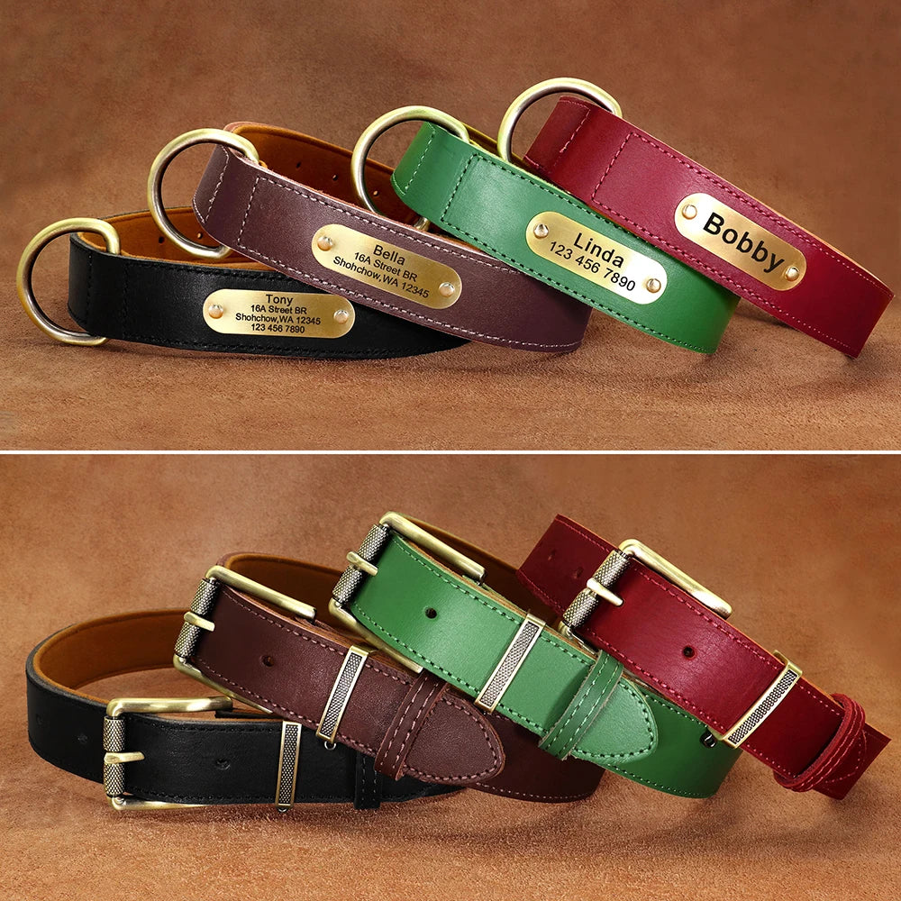 Coleira para cão personalizada em couro legítimo