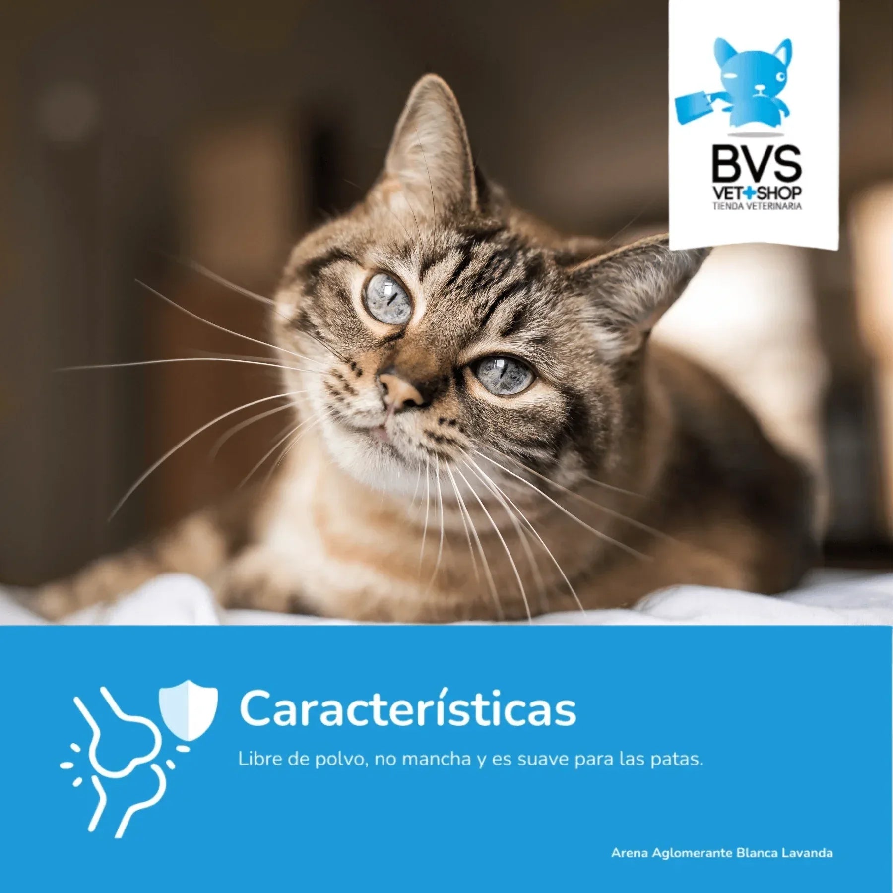 Areia Premium Bentonite Lavanda 5kg - BARAKALDO VET+SHOP Aglomerante - Loja Manuel Coelho