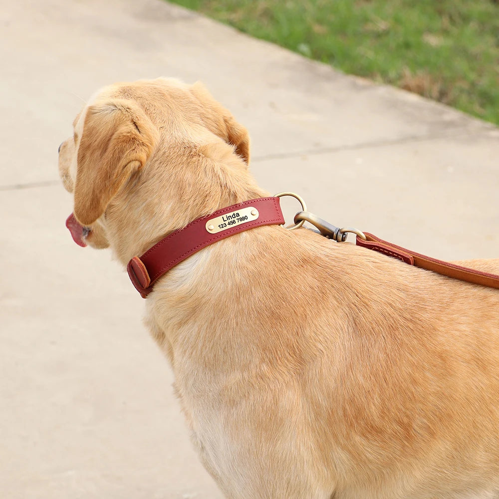 Coleira para cão personalizada em couro legítimo
