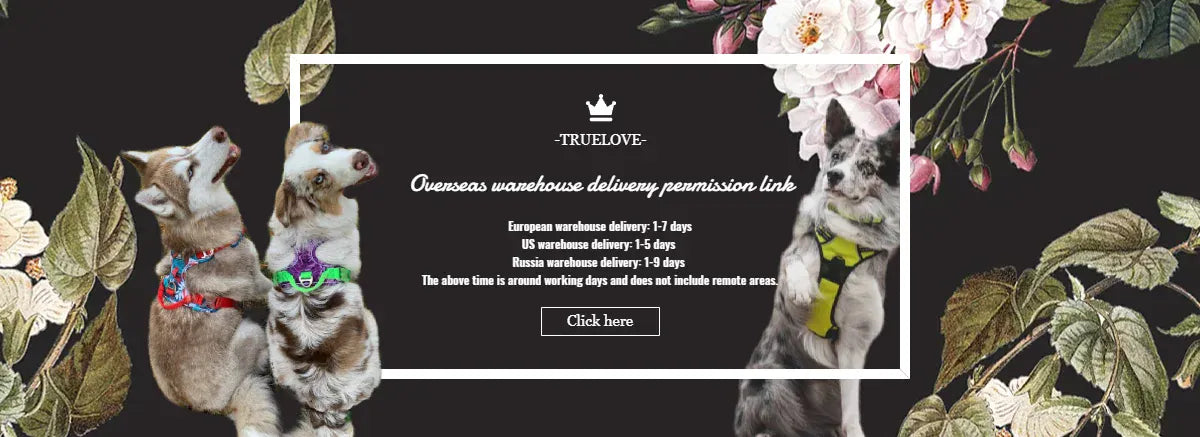 Reflective Dog Collar Padded Nylon 3M Reflective Breakaway