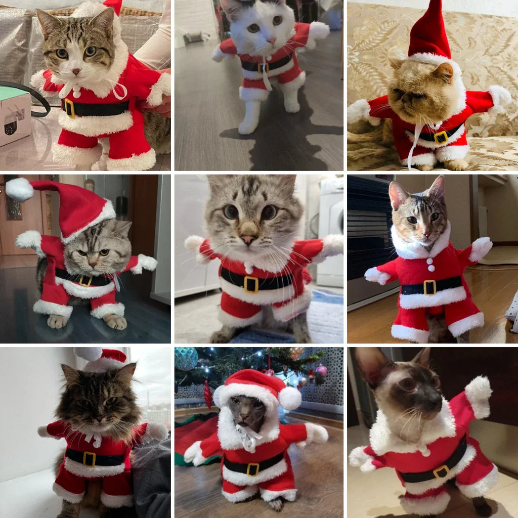 Cute Cat Clothes For Christmas