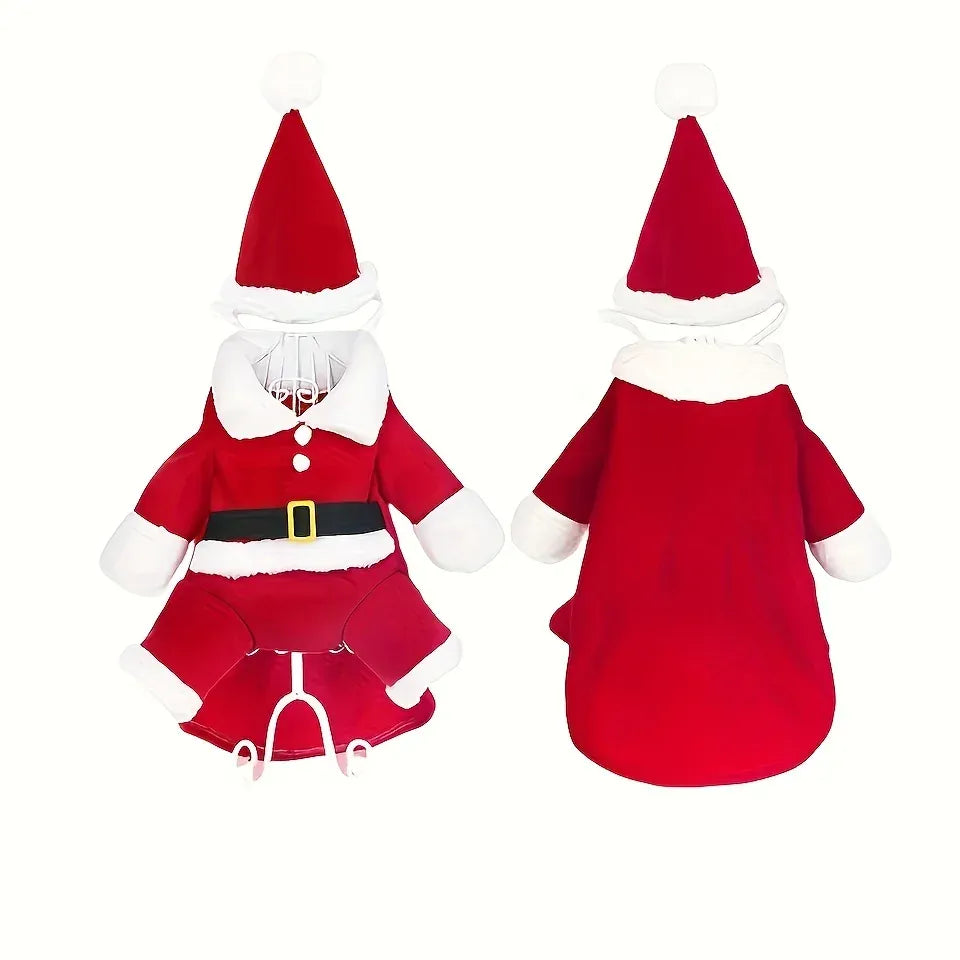 Cute Cat Clothes For Christmas