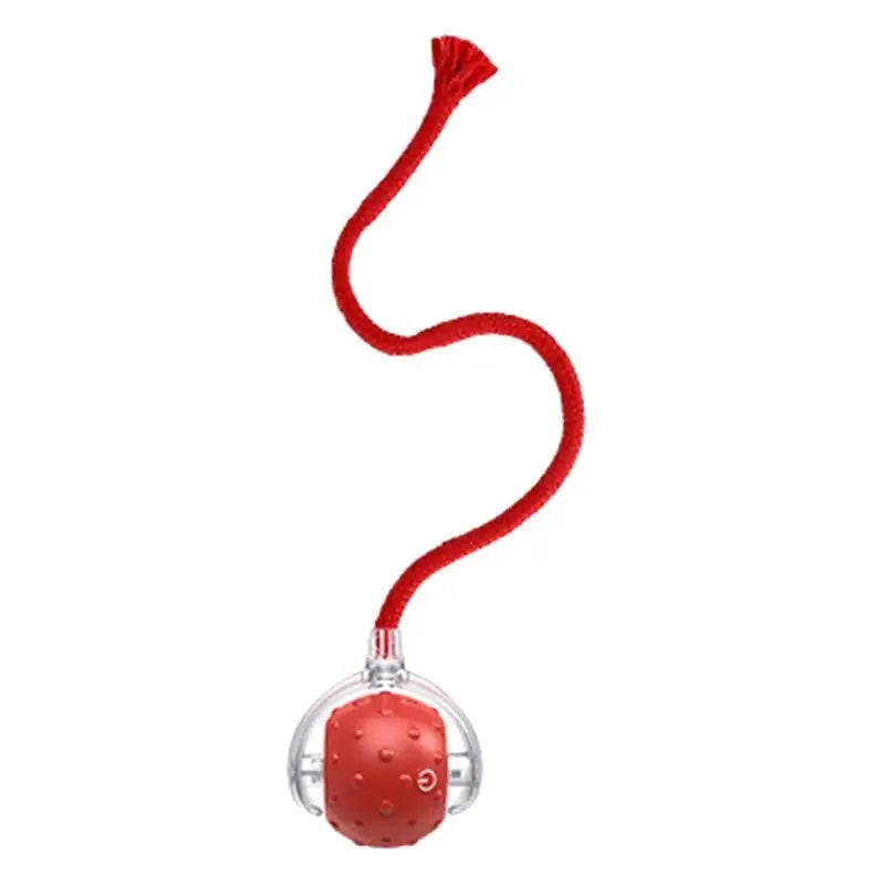 Bola Interativa Inteligente para Gatos - 3 Modos USB Recarregável - Loja Manuel Coelho