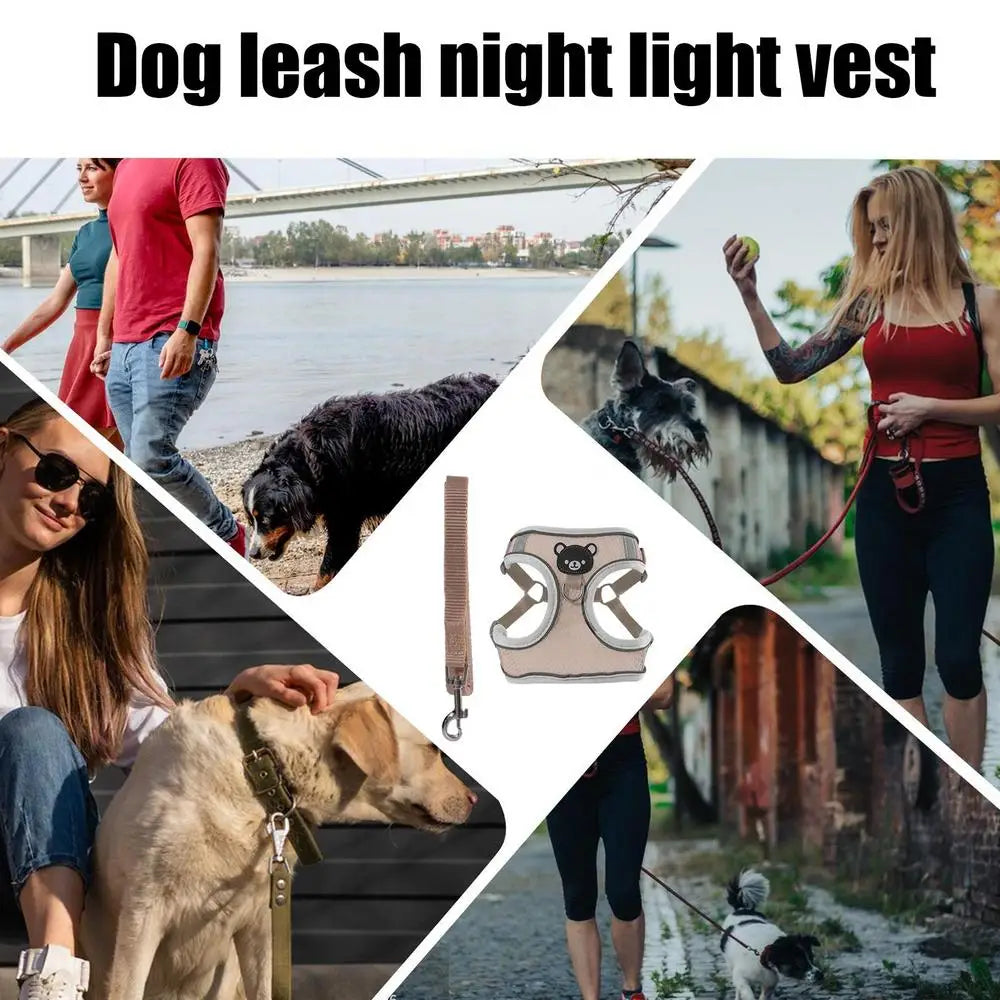 LED Dog Harness Illuminated Fiber Customizable Set for Nighttime Wal