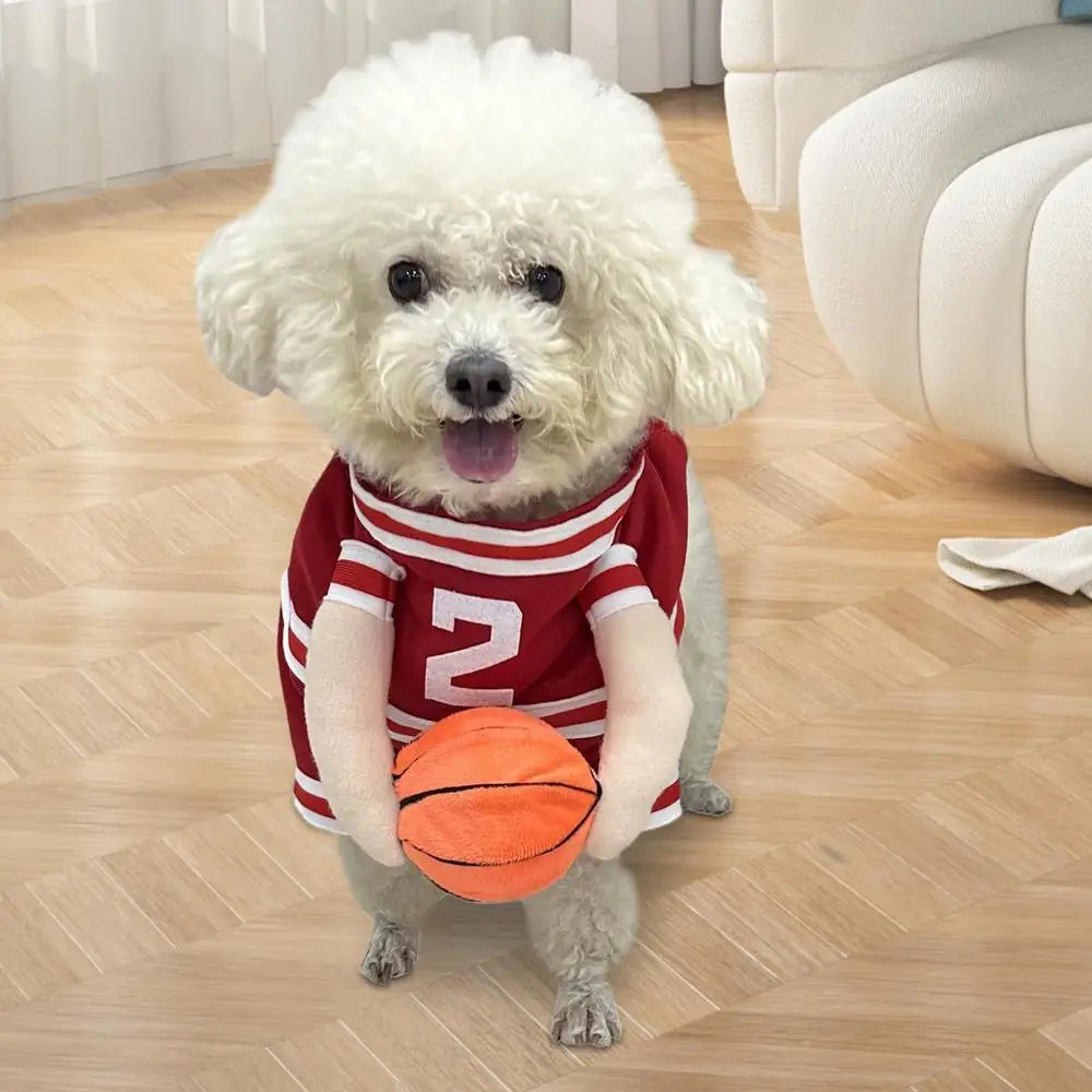 Cute dog baskJ in a red basketball costume holding an orange basketball, ready for fun and play.