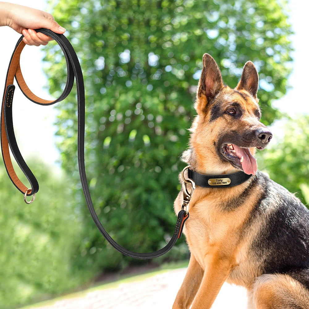 Coleira para cão personalizada em couro legítimo