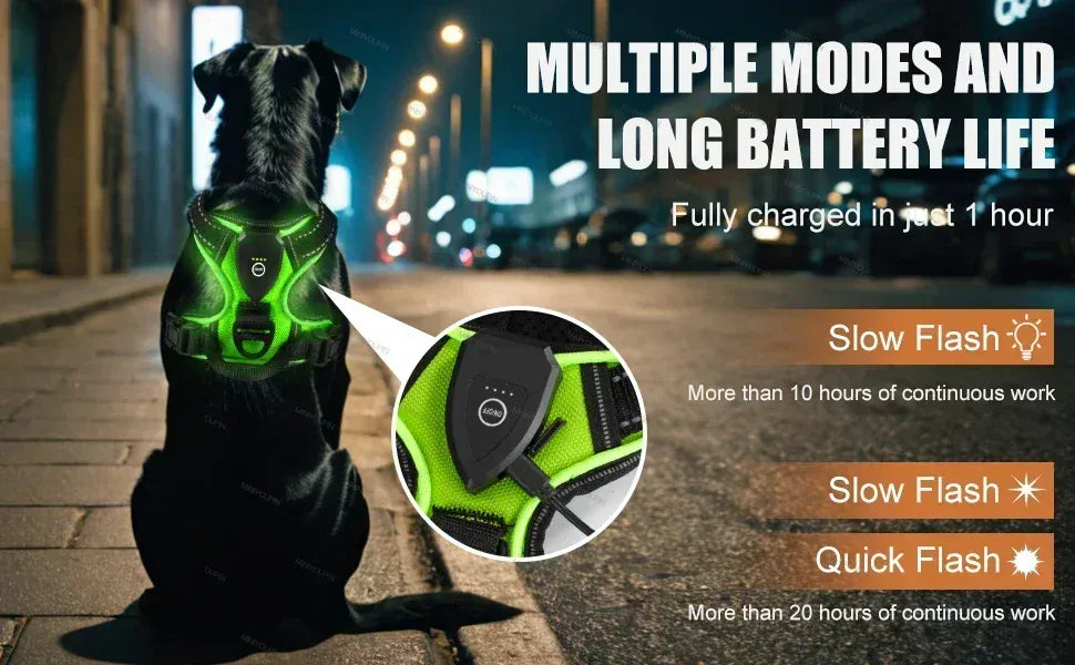 LED Dog Harness Nuoying Night Walking Harness with Durable Nylon &