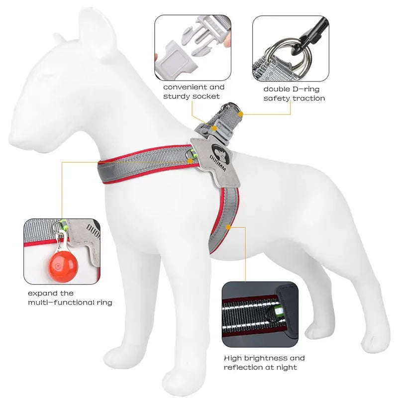 Dog Harness Adjustable Pet Harness Vest For Small Large Dogs Cats Reflective Mesh-Loja Manuel Coelho