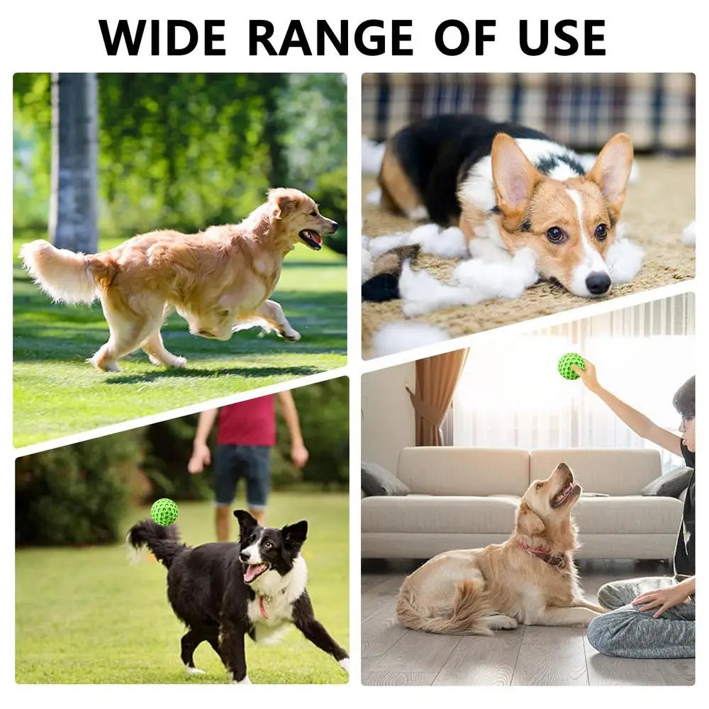 interactive squeaky dog toy balls squeaky dog toy balls in various playful settings with dogs.