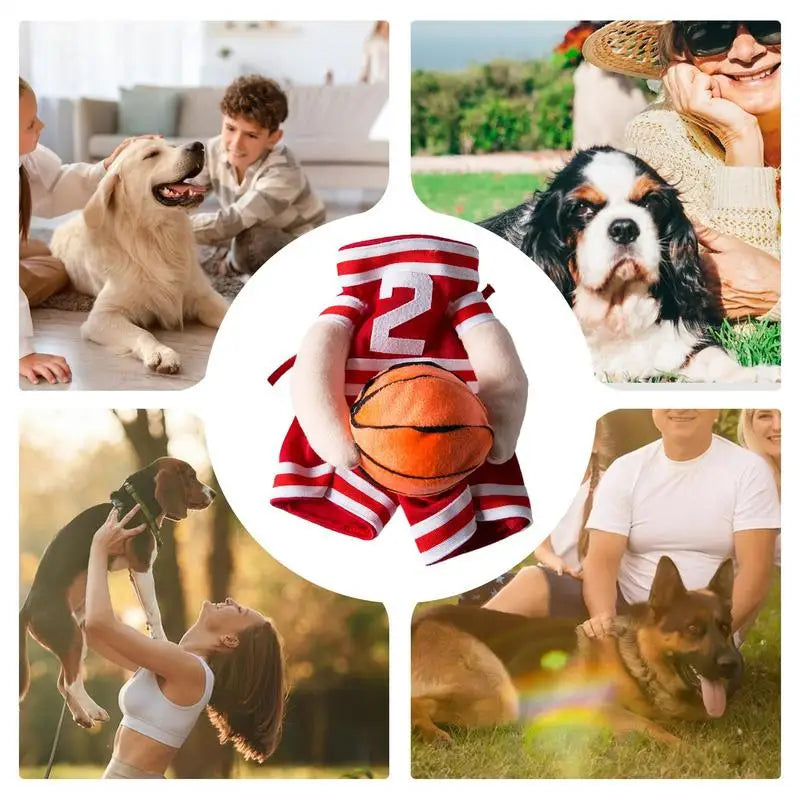 Dog baskJ costume featuring a basketball in a playful scene with families and pets enjoying time together.