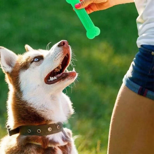 Hot Sale Pet Dog Chew Toys Rubber Bone Toy Aggressive Chewers Dog Toothbrush