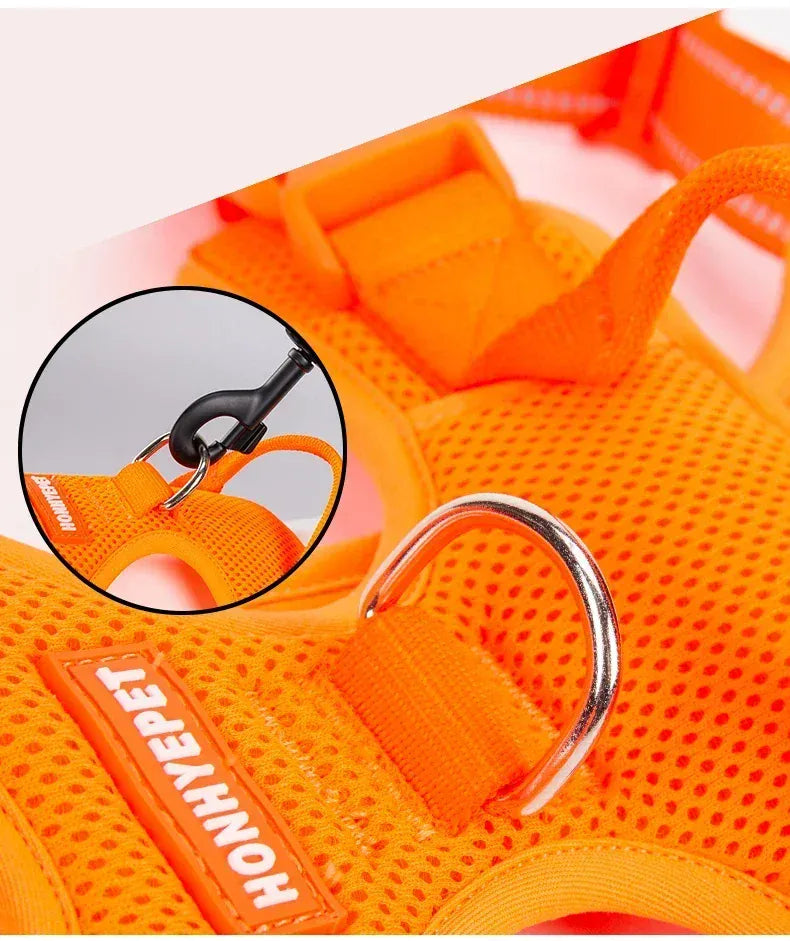 reflective pet harness for outdoor camping
