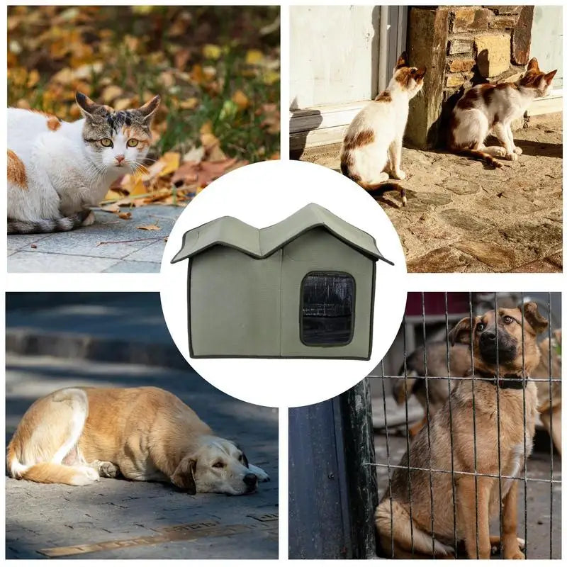 Casa grande para gatos de exterior com isolamento