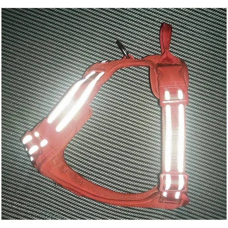 reflective pet harness for outdoor camping