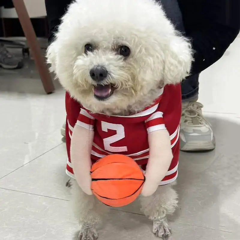Dog baskJ in a cute basketball costume, holding a basketball, showcasing playful sports-style flair.