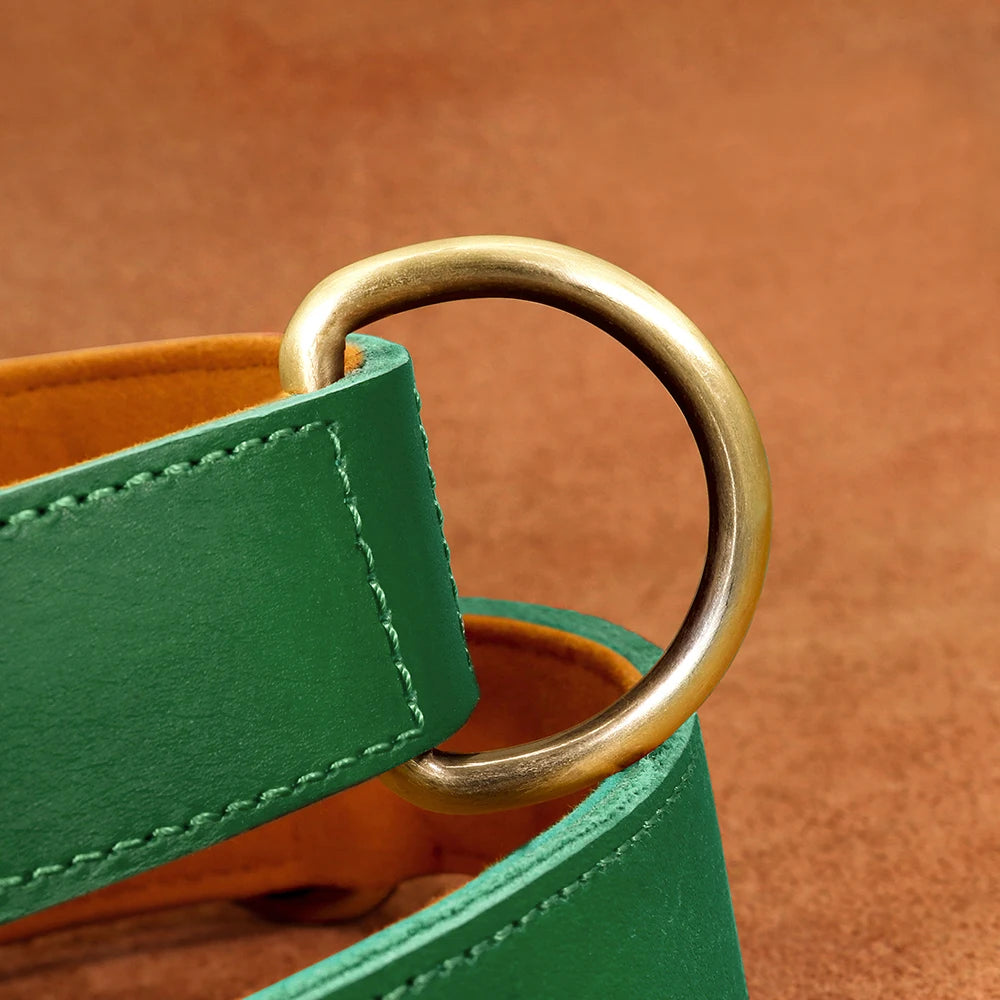 Coleira para cão personalizada em couro legítimo