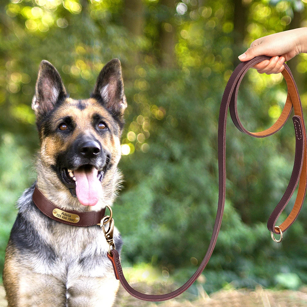Coleira para cão personalizada em couro legítimo