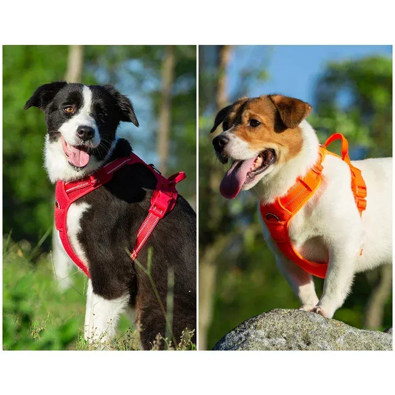 reflective pet harness for outdoor camping