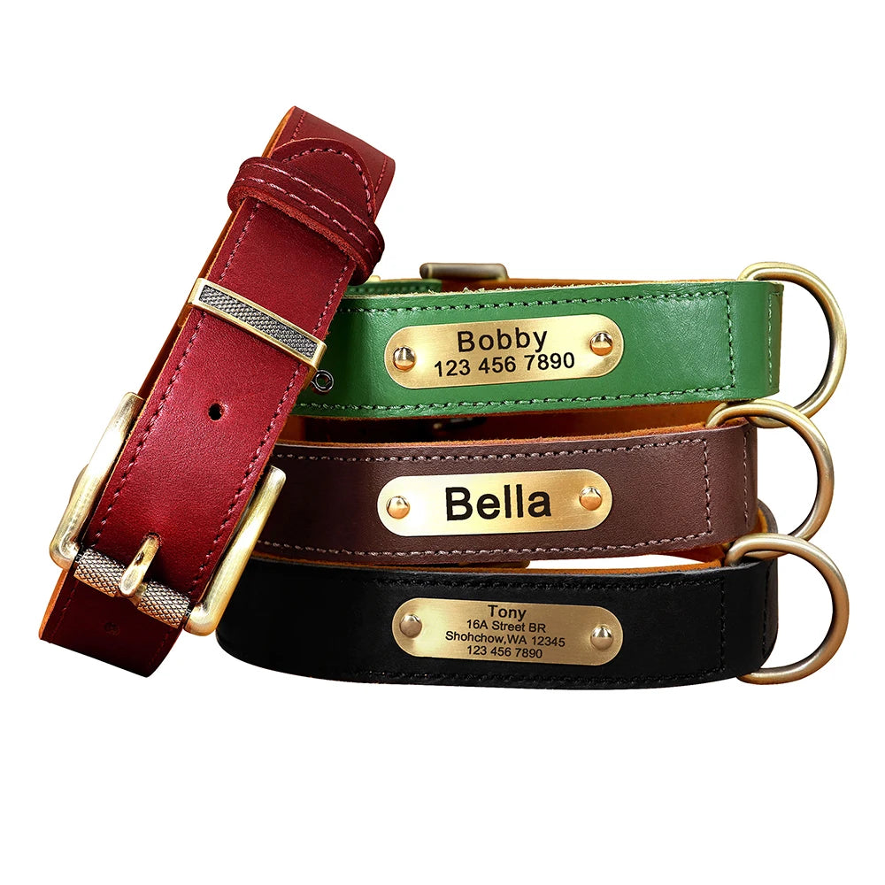 Coleira para cão personalizada em couro legítimo