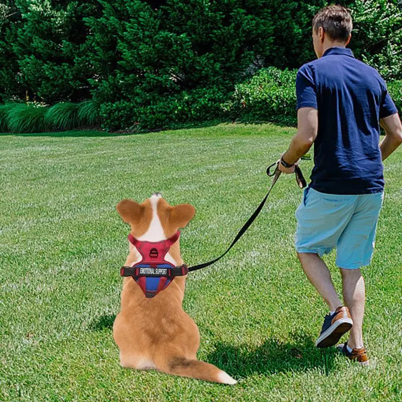 Dog wearing a No Pull Dog Harness Medium Fiber Training Harness Adjustable during a walk in the park.