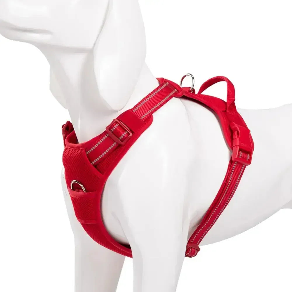 reflective pet harness for outdoor camping