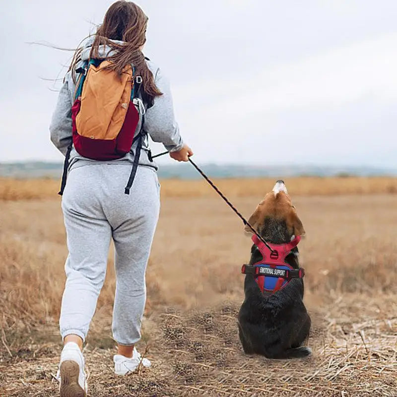 A woman walking her dog wearing a No Pull Dog Harness Medium Fiber Training Harness Adjustable in a grassy field.